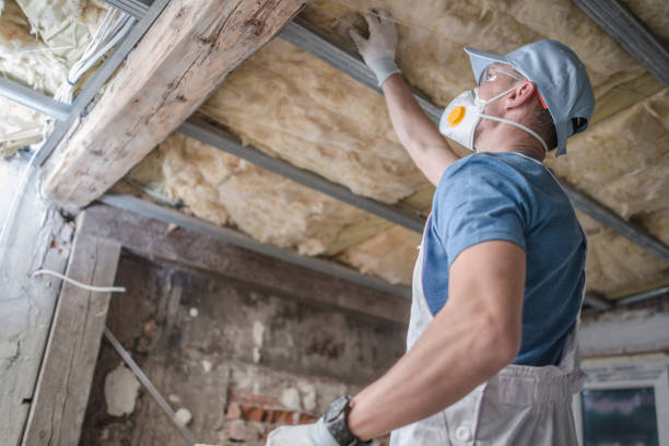  Crosspointe, VA Insulation Contractor Pros