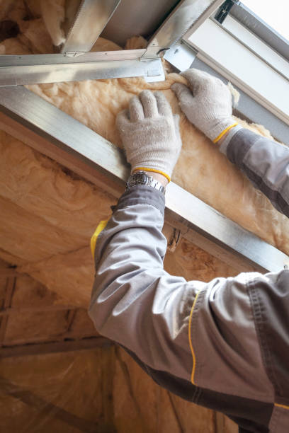 Best Blown-in Insulation in Crosspointe, VA