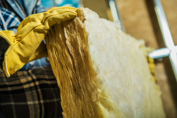 Best Spray Foam Insulation in Crosspointe, VA