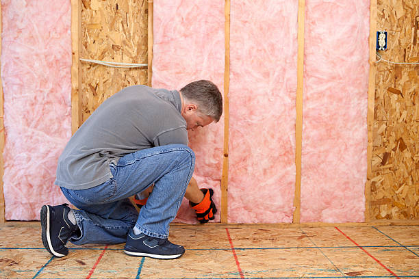Best Geographic-Specific Insulation Services in Crosspointe, VA
