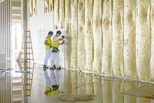 Best Cellulose Insulation in Crosspointe, VA
